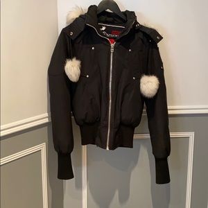 Moose knuckles Jacket